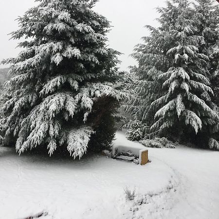 Terrazas Del Lopez Villa San Carlos de Bariloche Ngoại thất bức ảnh